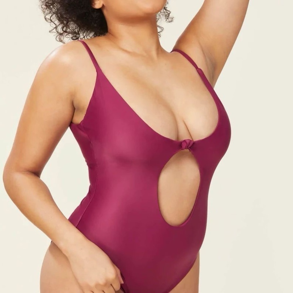 ANDIE The Santorini One Piece Swimsuit In Plum